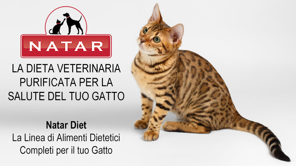 slide_natar_diet_gatto-1-2
